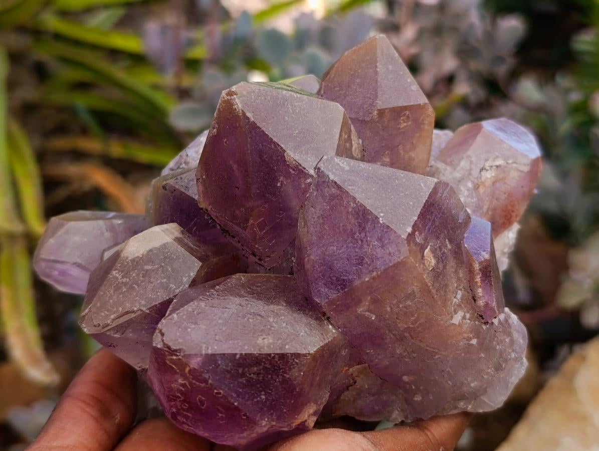 Polished Watermelon Fluorite Slices x 6 From Uis, Namibia - Toprock Gemstones and Minerals 