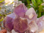 Polished Watermelon Fluorite Slices x 6 From Uis, Namibia - Toprock Gemstones and Minerals 
