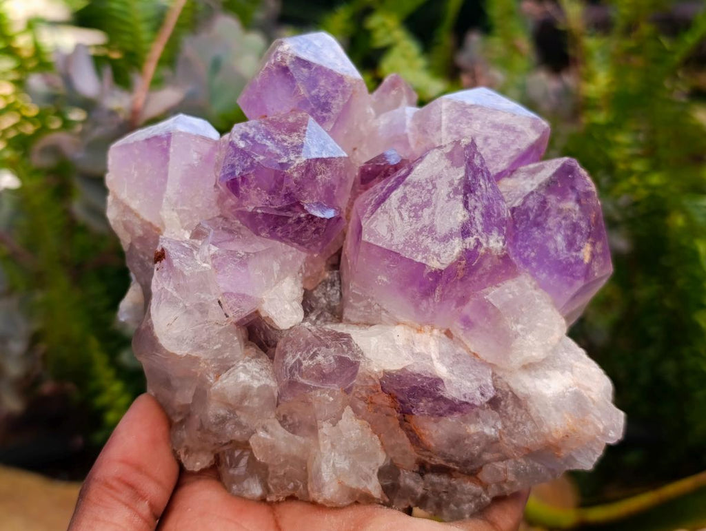 Polished Watermelon Fluorite Slices x 6 From Uis, Namibia - Toprock Gemstones and Minerals 