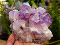 Polished Watermelon Fluorite Slices x 6 From Uis, Namibia - Toprock Gemstones and Minerals 