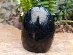 Polished Black Tourmaline Standing Free Forms x 2 From Madagascar - Toprock Gemstones and Minerals 