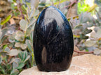 Polished Black Tourmaline Standing Free Forms x 2 From Madagascar - Toprock Gemstones and Minerals 
