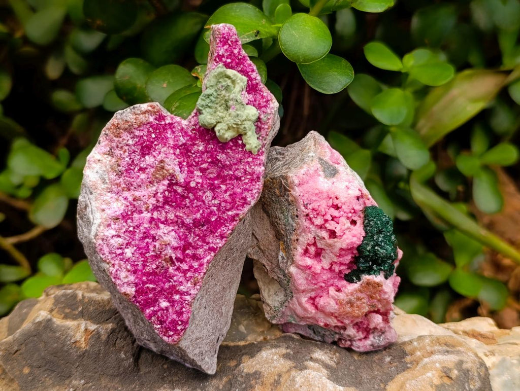 Natural Salrose Cobaltion Dolomite Specimens with Silky Malachite Crystals x 6 From Kakanda, Congo - Toprock Gemstones and Minerals 