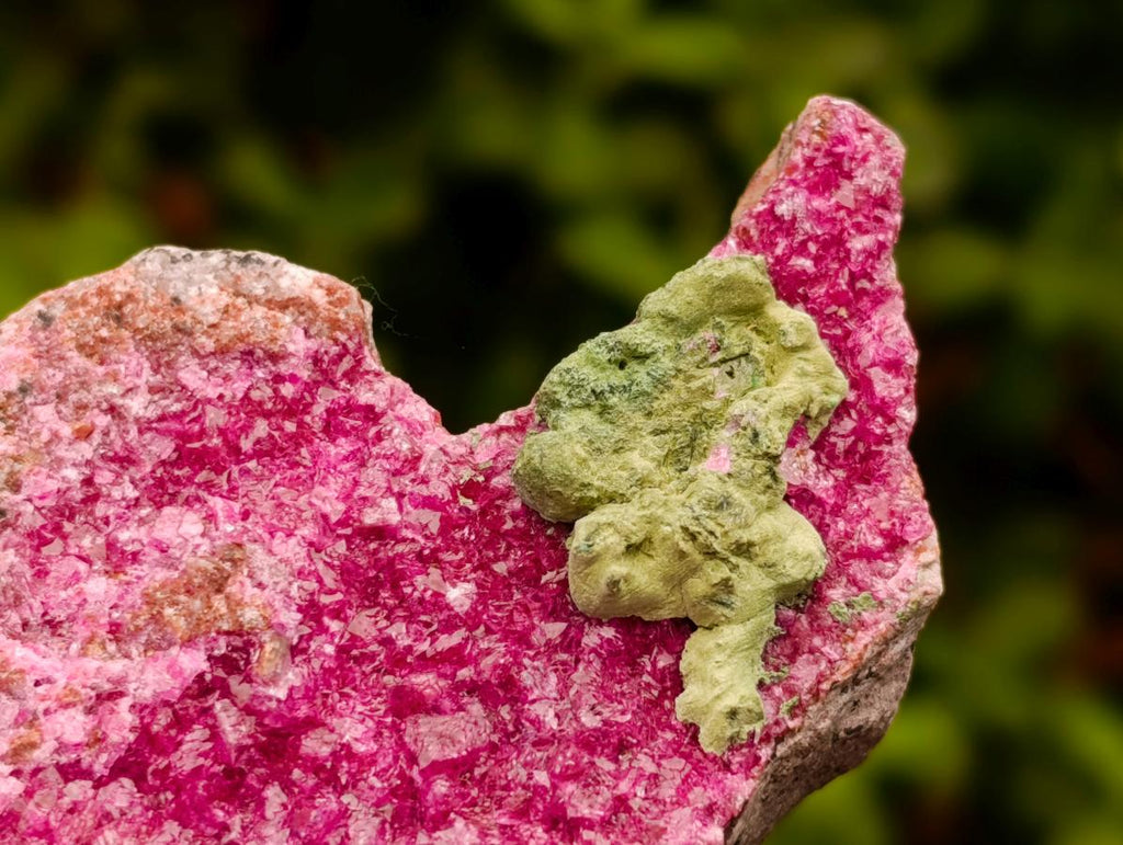 Natural Salrose Cobaltion Dolomite Specimens with Silky Malachite Crystals x 6 From Kakanda, Congo - Toprock Gemstones and Minerals 