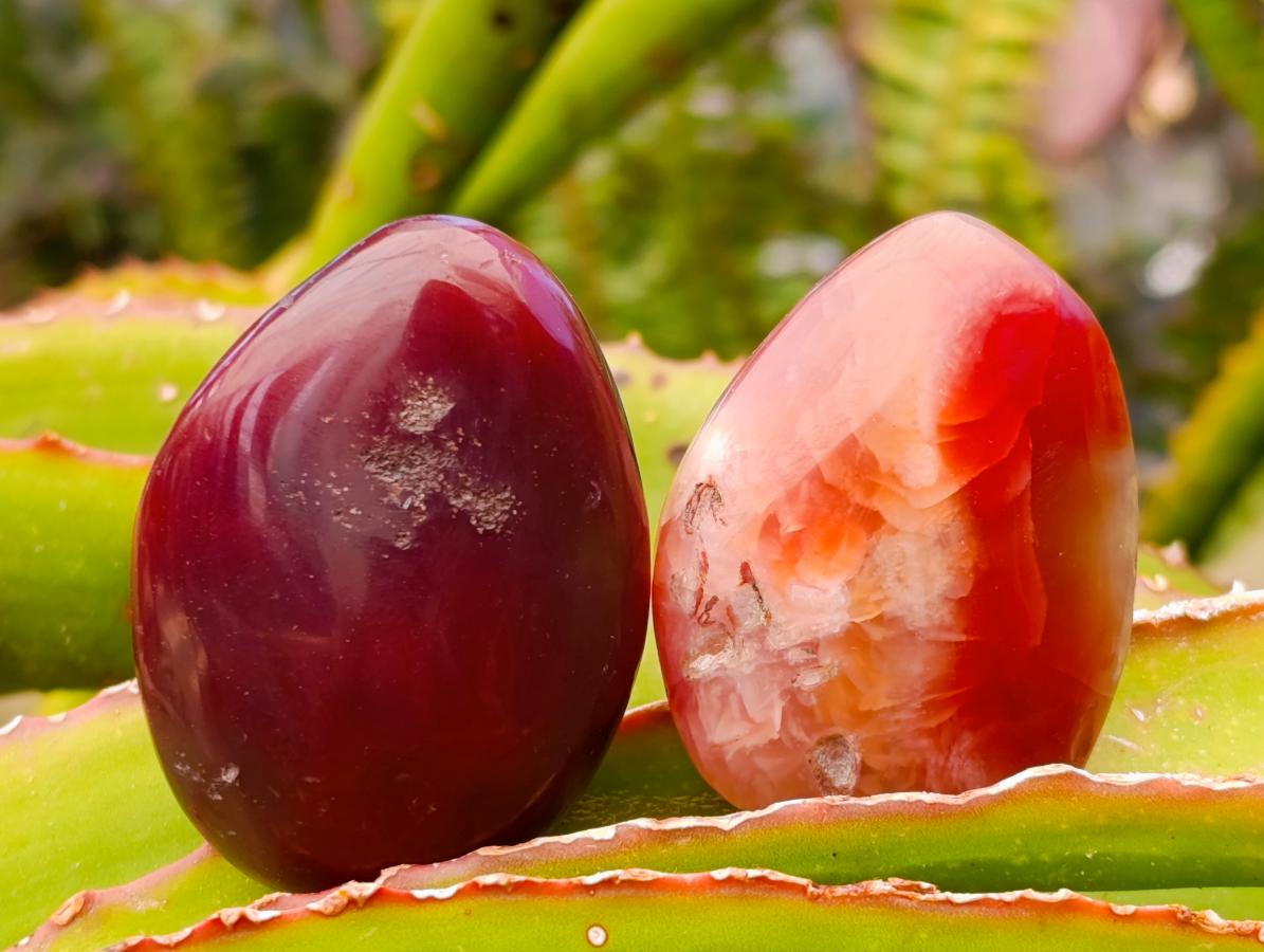 Polished Red Shashe River Agate Free Forms x 20 From Shashe River, Zimbabwe - Toprock Gemstones and Minerals 