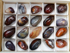 Polished Red Shashe River Agate Free Forms x 20 From Shashe River, Zimbabwe - Toprock Gemstones and Minerals 
