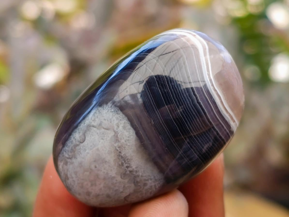Polished Red Shashe River Agate Free Forms x 20 From Shashe River, Zimbabwe - Toprock Gemstones and Minerals 