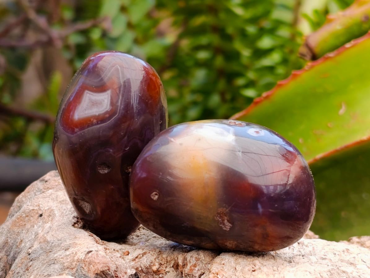 Polished Red Shashe River Agate Free Forms x 20 From Shashe River, Zimbabwe - Toprock Gemstones and Minerals 