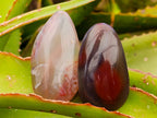 Polished Red Shashe River Agate Free Forms x 20 From Shashe River, Zimbabwe - Toprock Gemstones and Minerals 