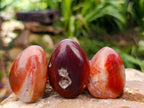 Polished Red Shashe River Agate Free Forms x 20 From Shashe River, Zimbabwe - Toprock Gemstones and Minerals 