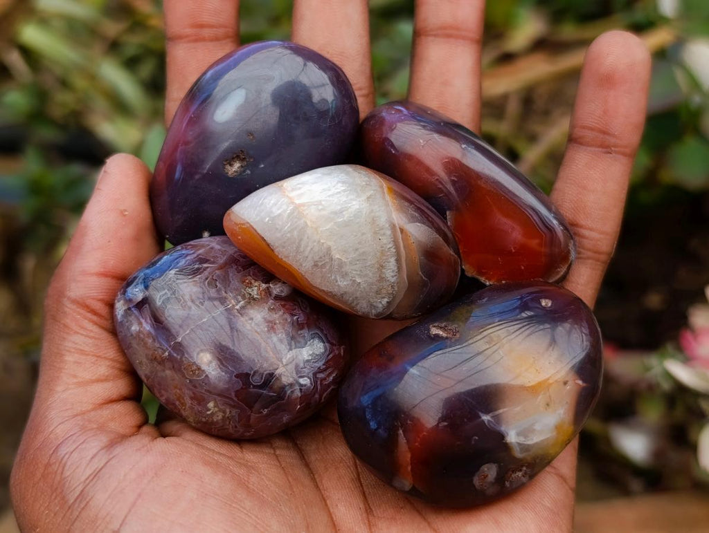 Polished Red Shashe River Agate Free Forms x 20 From Shashe River, Zimbabwe - Toprock Gemstones and Minerals 