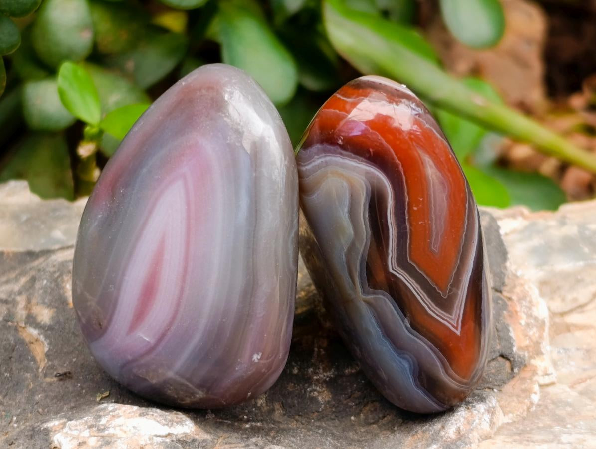 Polished Red Shashe River Agate Free Forms x 20 From Shashe River, Zimbabwe - Toprock Gemstones and Minerals 