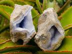 Natural Blue Lace Agate Specimens x 12 From Nsanje, Malawi