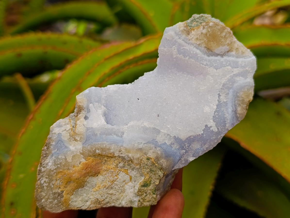 Natural Blue Lace Agate Specimens x 12 From Nsanje, Malawi
