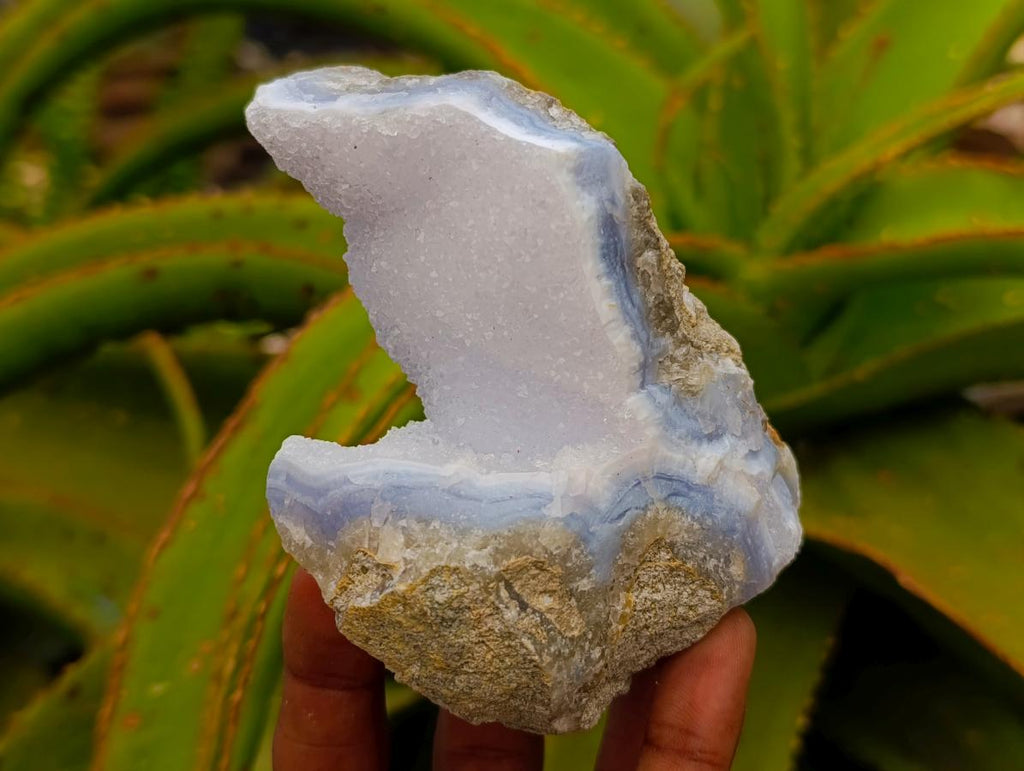 Natural Blue Lace Agate Specimens x 12 From Nsanje, Malawi