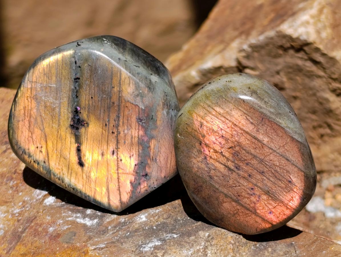 Polished Rare Purple Sunset Flash Labradorite Standing Free Forms x 24 From Madagascar