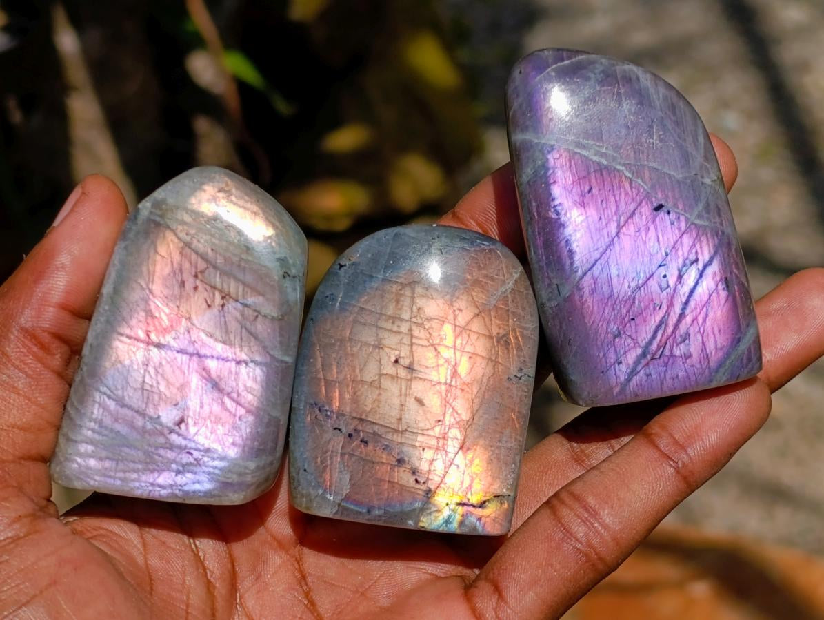 Polished Rare Purple Sunset Flash Labradorite Standing Free Forms x 24 From Madagascar
