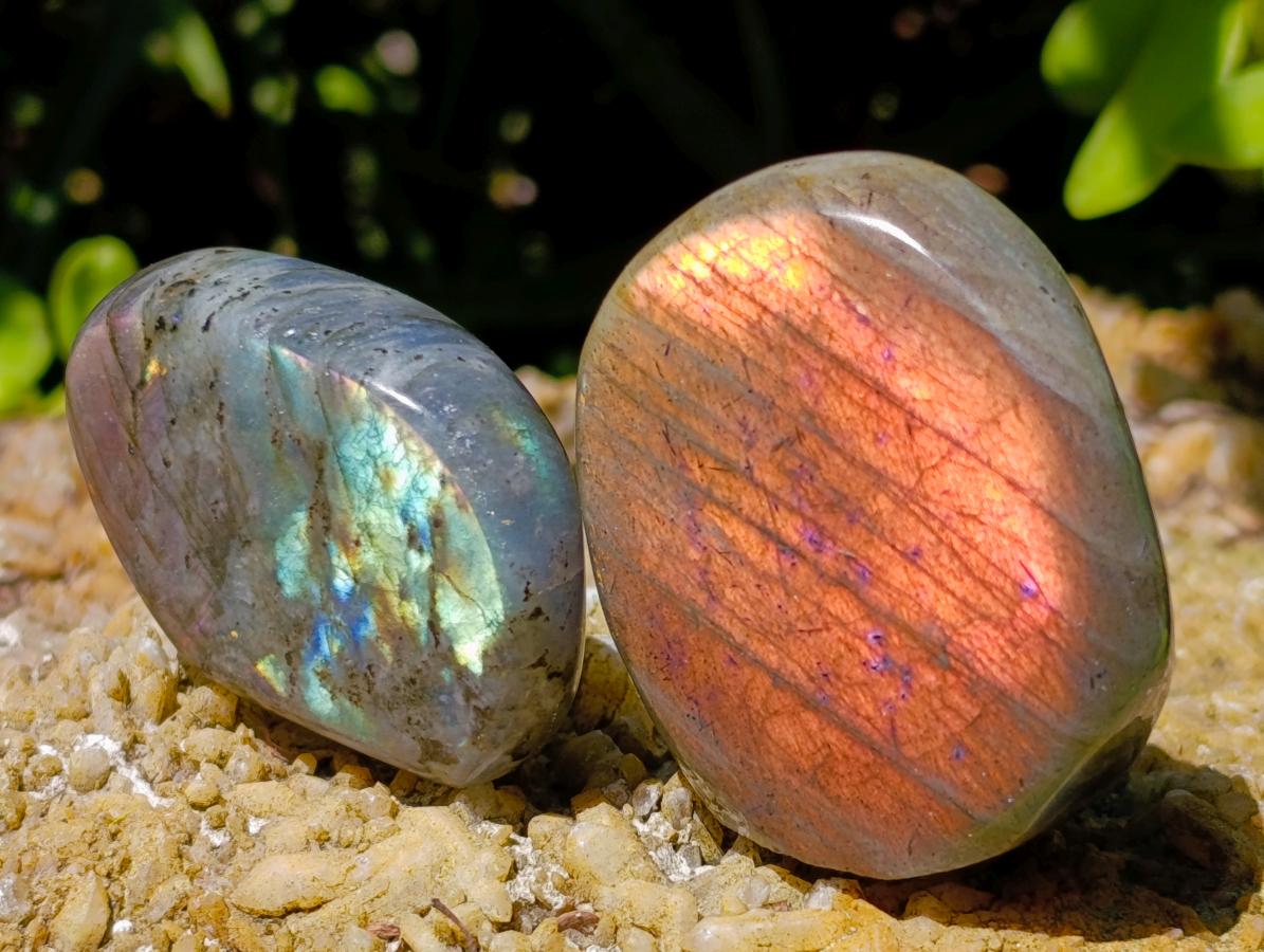 Polished Rare Purple Sunset Flash Labradorite Standing Free Forms x 24 From Madagascar