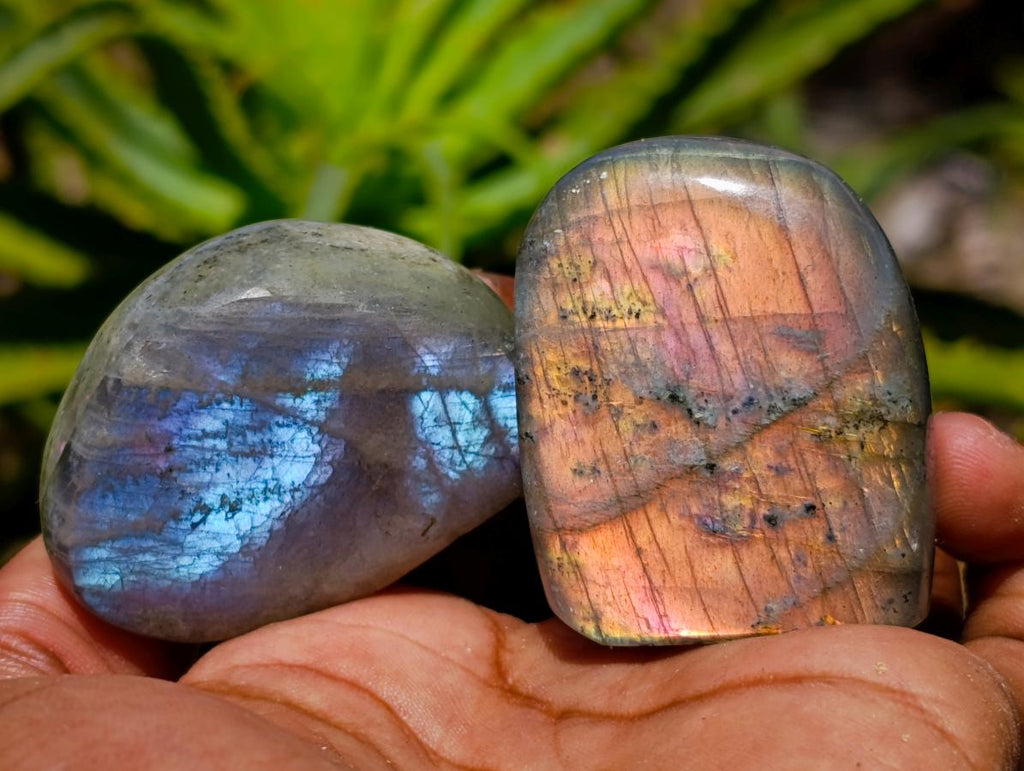 Polished Rare Purple Sunset Flash Labradorite Standing Free Forms x 24 From Madagascar
