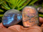 Polished Rare Purple Sunset Flash Labradorite Standing Free Forms x 24 From Madagascar
