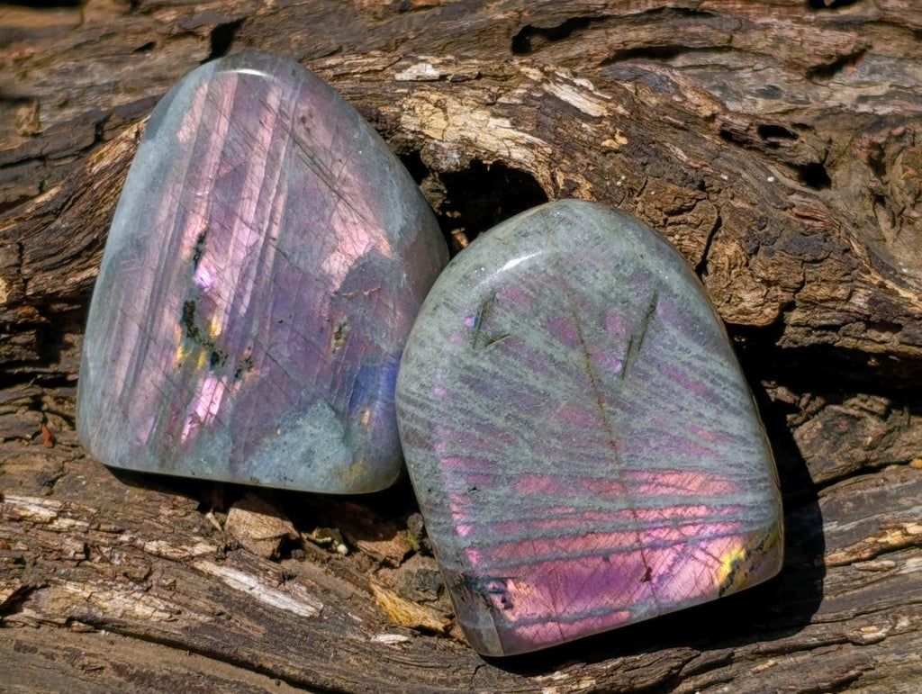Polished Rare Purple Sunset Flash Labradorite Standing Free Forms x 24 From Madagascar