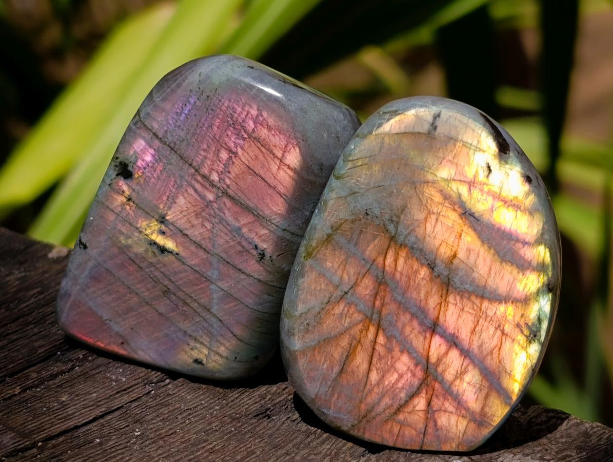 Polished Rare Purple Sunset Flash Labradorite Standing Free Forms x 24 From Madagascar
