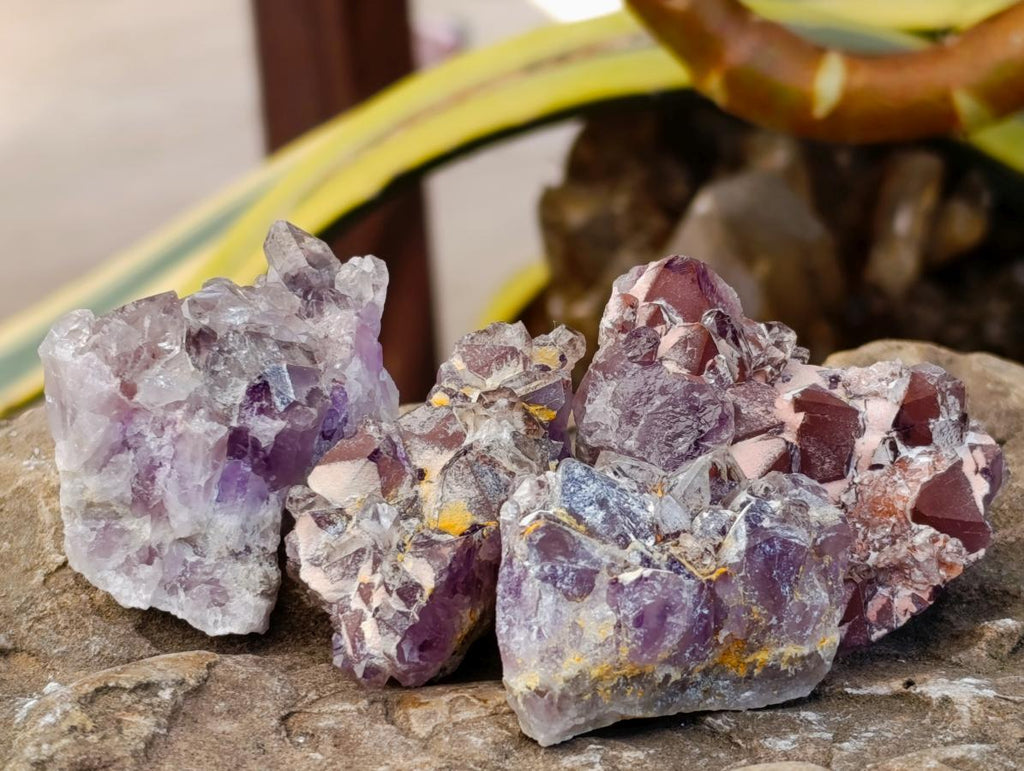 Natural Rare Amethyst Asylum Quartz Clusters x 35 From Luena, Congo