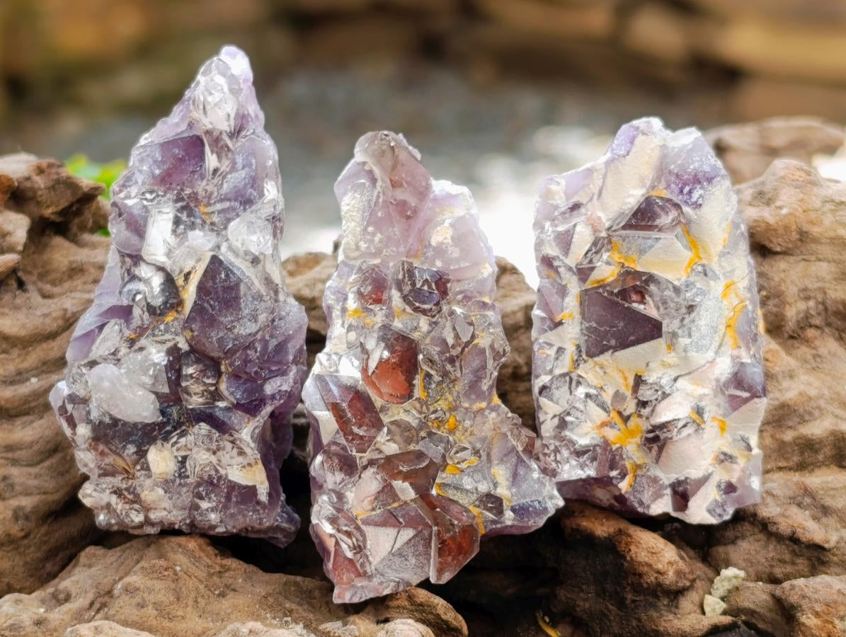 Natural Rare Amethyst Asylum Quartz Clusters x 35 From Luena, Congo