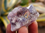 Natural Rare Amethyst Asylum Quartz Clusters x 35 From Luena, Congo