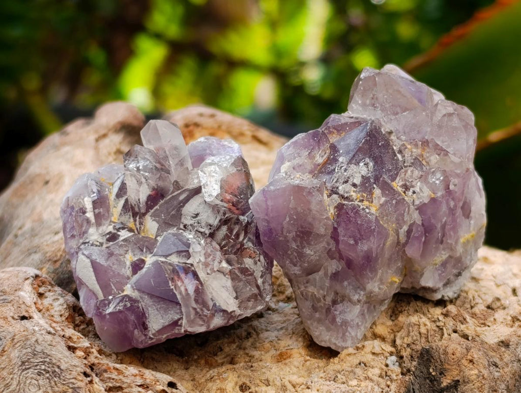 Natural Rare Amethyst Asylum Quartz Clusters x 35 From Luena, Congo