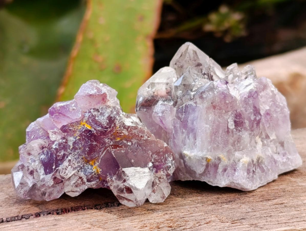 Natural Rare Amethyst Asylum Quartz Clusters x 35 From Luena, Congo