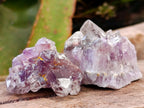 Natural Rare Amethyst Asylum Quartz Clusters x 35 From Luena, Congo