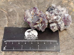 Natural Rare Amethyst Asylum Quartz Clusters x 35 From Luena, Congo