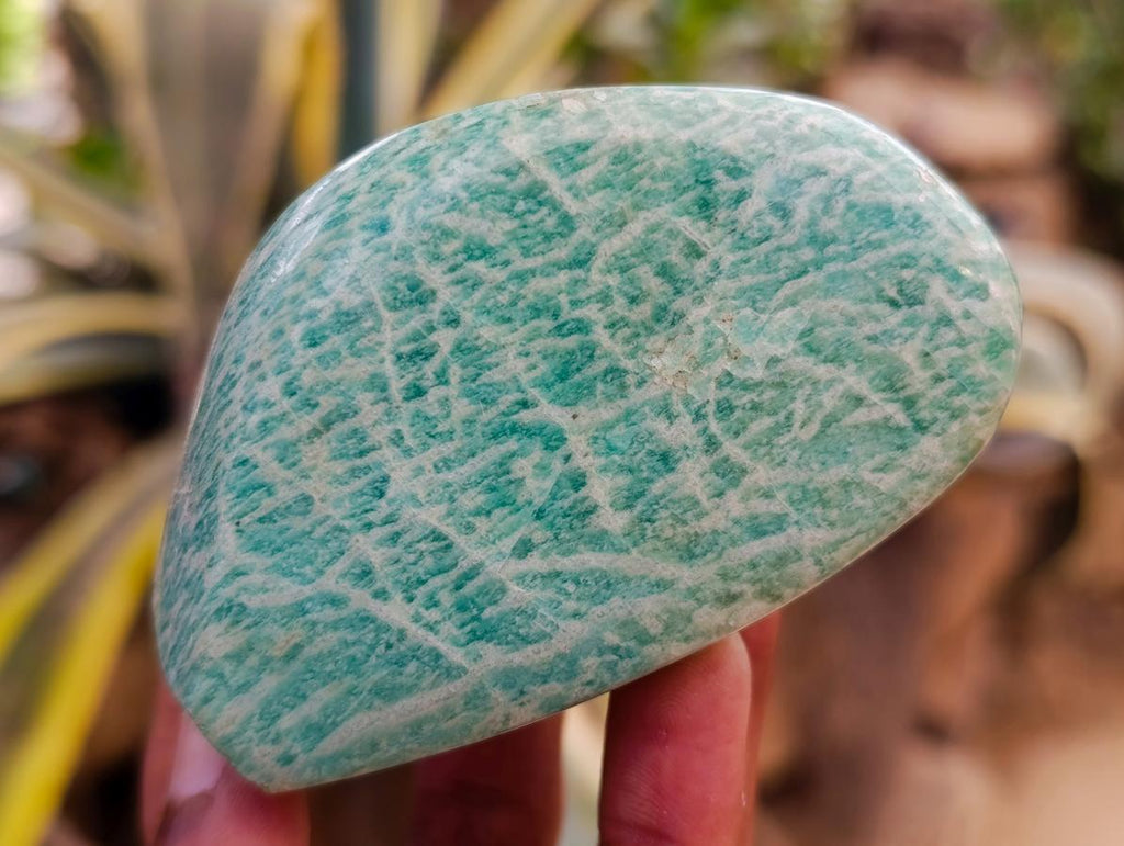 Polished Amazonite Standing Free Forms x 12 From Zimbabwe