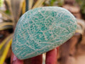 Polished Amazonite Standing Free Forms x 12 From Zimbabwe