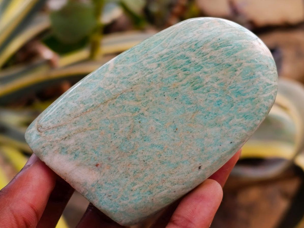 Polished Amazonite Standing Free Forms x 12 From Zimbabwe