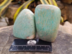 Polished Amazonite Standing Free Forms x 12 From Zimbabwe