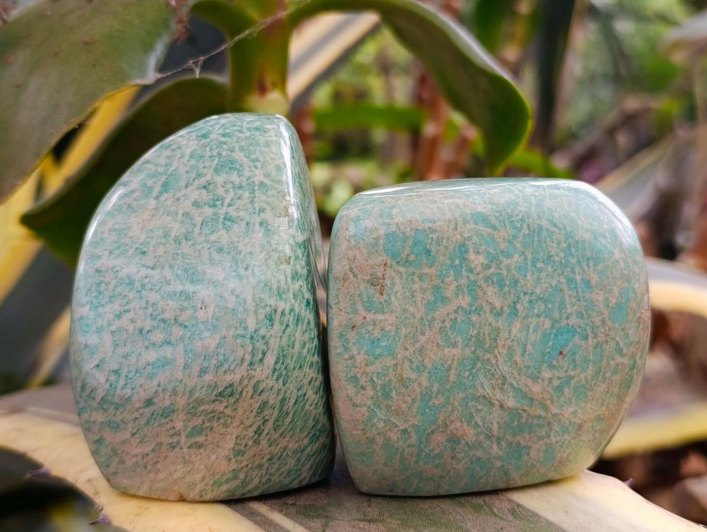 Polished Amazonite Standing Free Forms x 12 From Zimbabwe