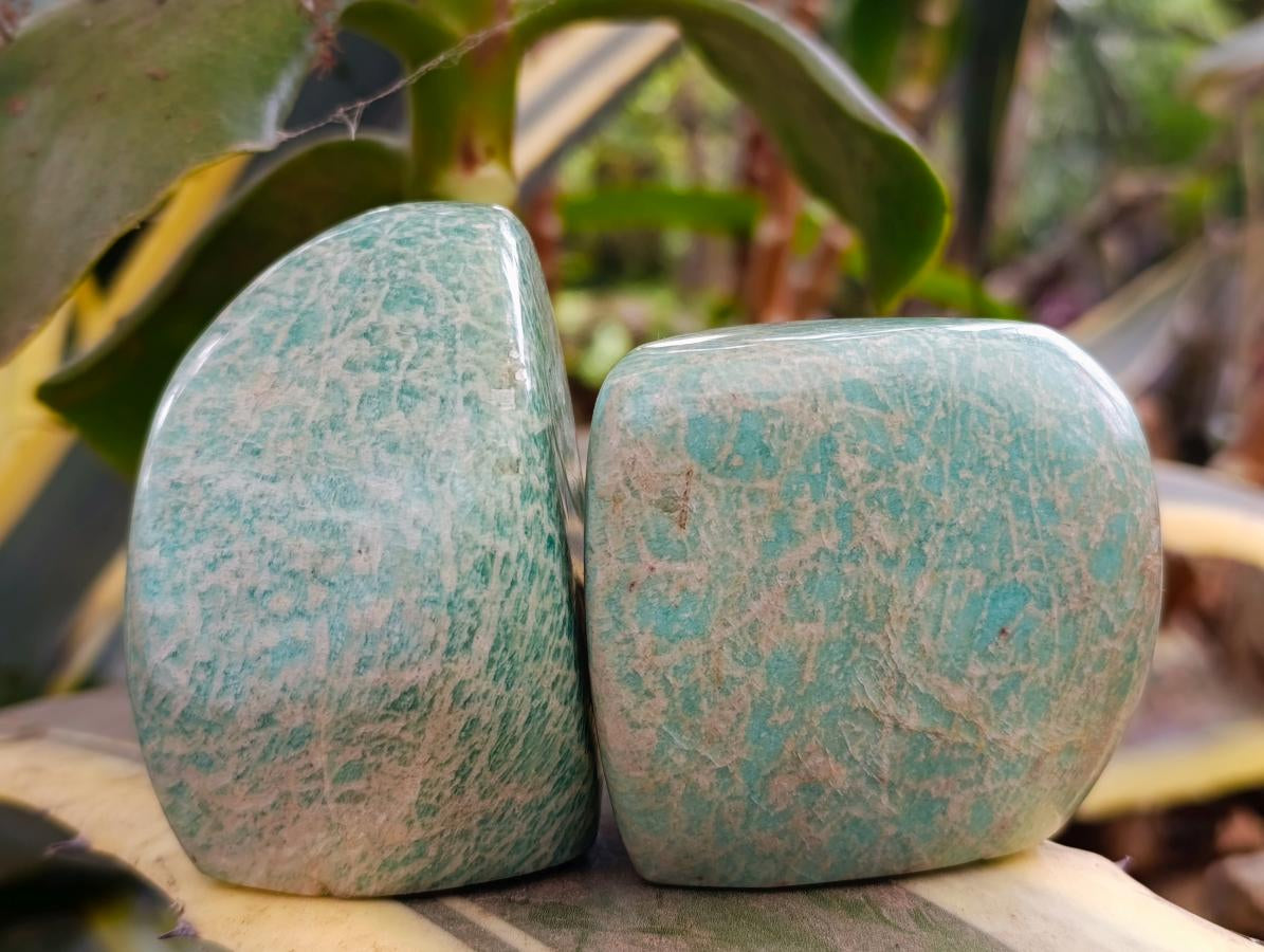 Polished Amazonite Standing Free Forms x 12 From Zimbabwe