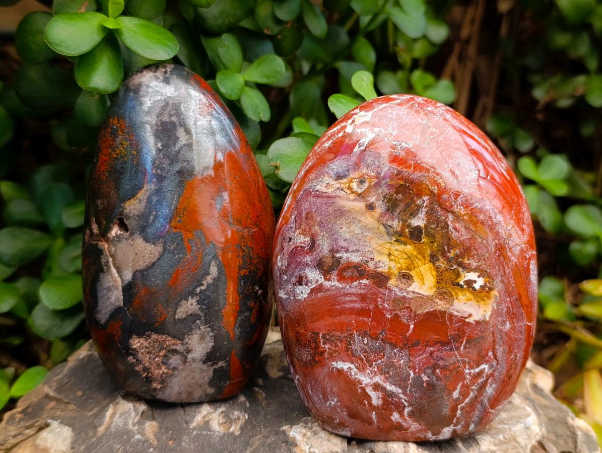 Polished Mixed Red Jasper Standing Free Forms x 4 From Madagascar