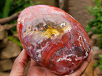 Polished Mixed Red Jasper Standing Free Forms x 4 From Madagascar