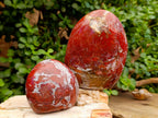 Polished Mixed Red Jasper Standing Free Forms x 4 From Madagascar