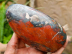 Polished Mixed Red Jasper Standing Free Forms x 4 From Madagascar