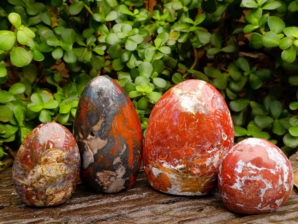 Polished Mixed Red Jasper Standing Free Forms x 4 From Madagascar