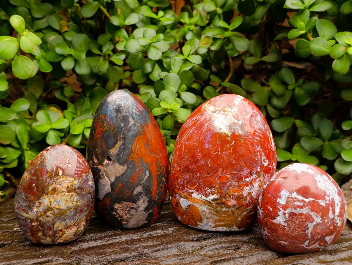 Polished Mixed Red Jasper Standing Free Forms x 4 From Madagascar