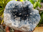 Natural Large Blue Celestite Cluster Specimen x 1 From Sakoany, Madagascar - Toprock Gemstones and Minerals 