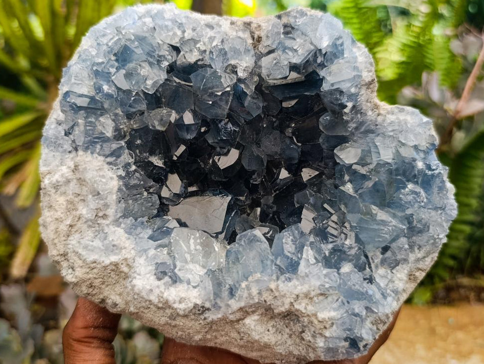 Natural Large Blue Celestite Cluster Specimen x 1 From Sakoany, Madagascar - Toprock Gemstones and Minerals 