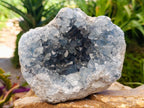 Natural Large Blue Celestite Cluster Specimen x 1 From Sakoany, Madagascar - Toprock Gemstones and Minerals 