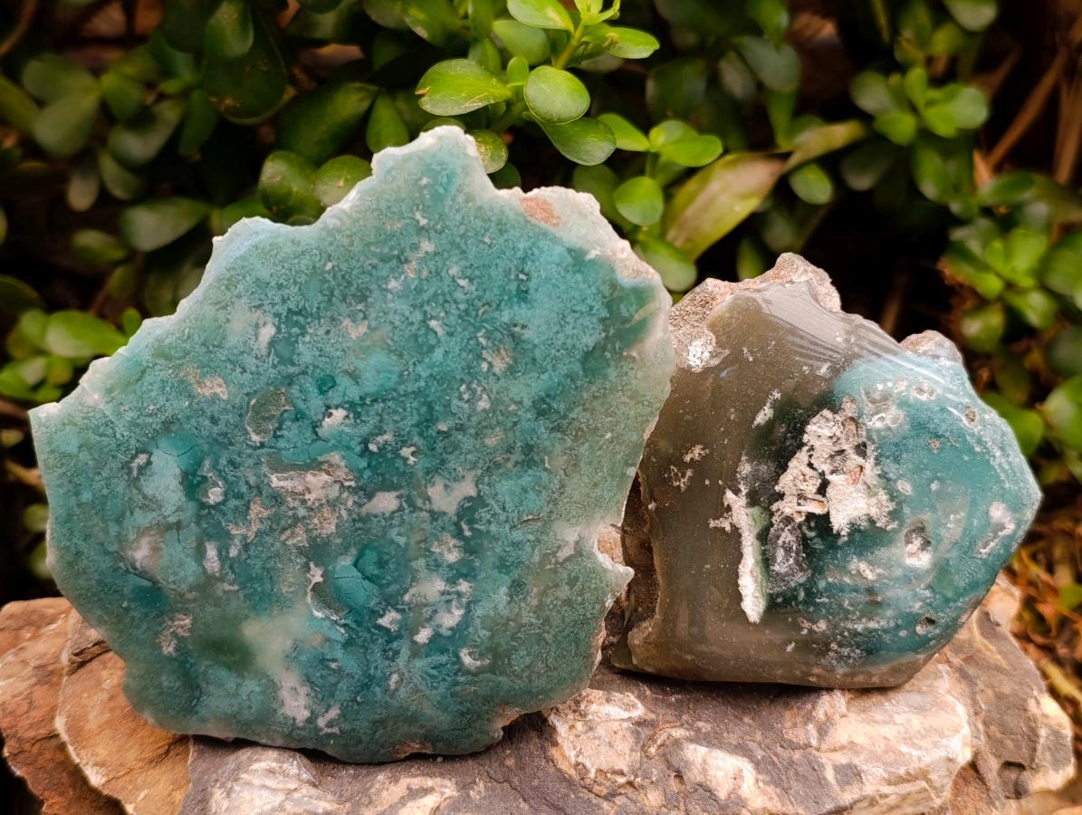 Polished On One Side Mtorolite Chrysoprase Plates x 4 From Mutorashanga, Zimbabwe