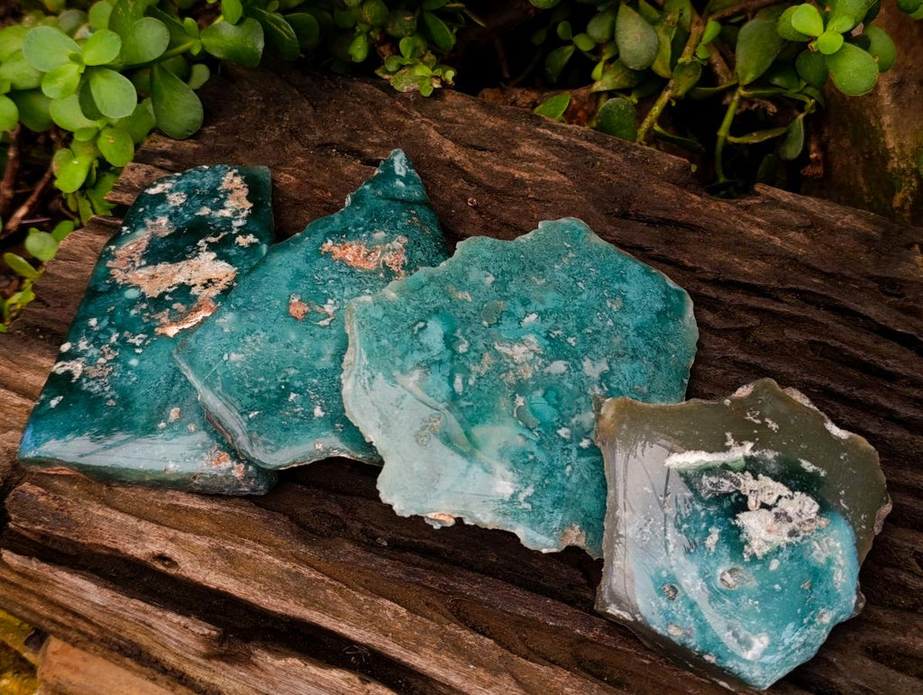 Polished On One Side Mtorolite Chrysoprase Plates x 4 From Mutorashanga, Zimbabwe